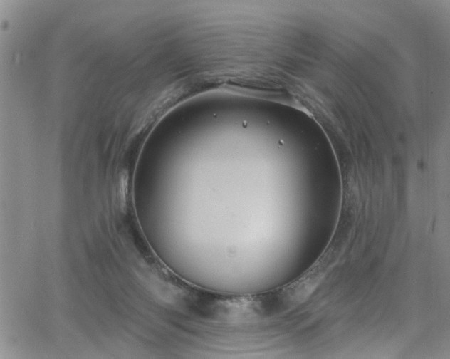 X0000058830118200510031357