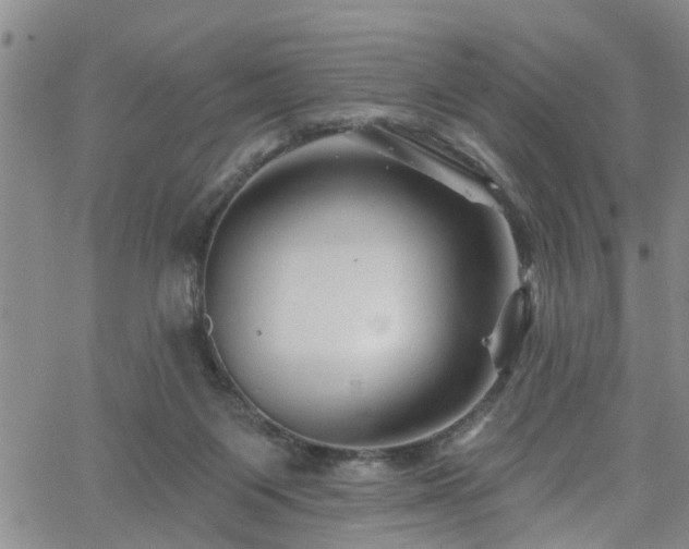 X0000058830119200510031357