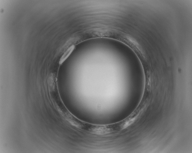 X0000058830121200510031357