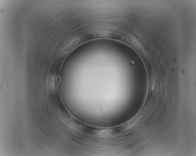 X0000058830122200510031357