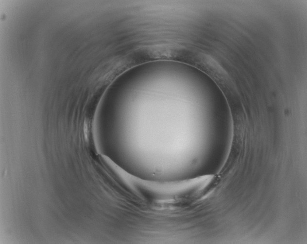 X0000058830125200510031356