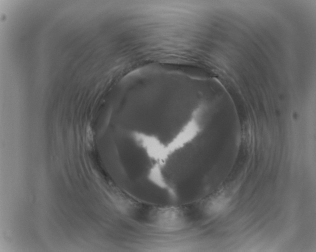 X0000058830127200510031356