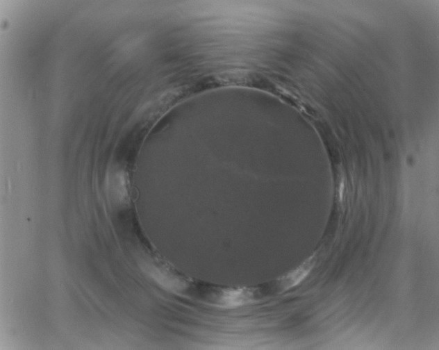 X0000058830130200510031356