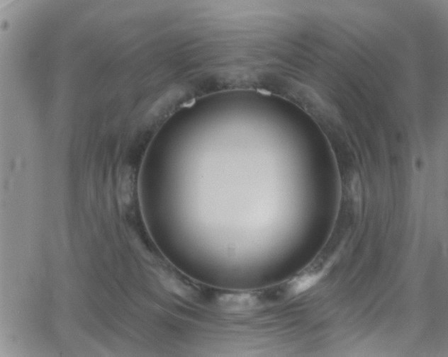 X0000058830133200510031356