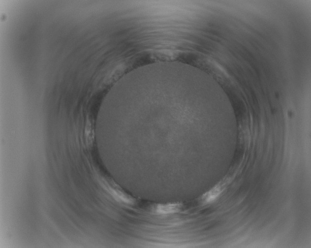 X0000058830134200510031356