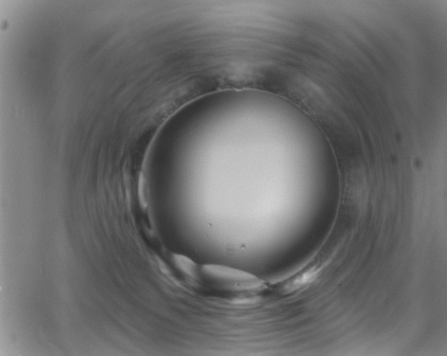 X0000058830135200510031356