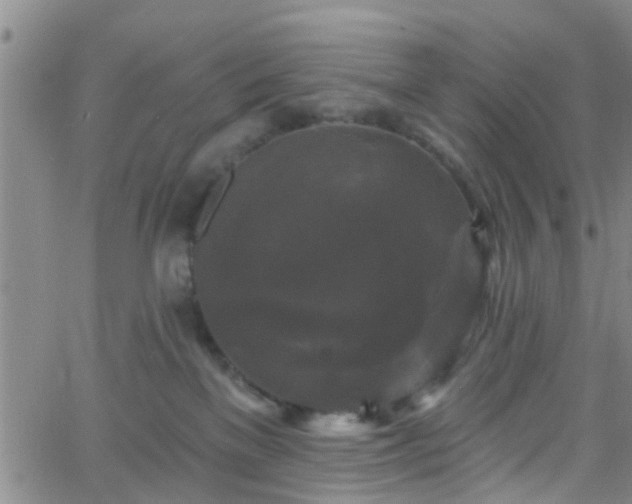 X0000058830137200510031356