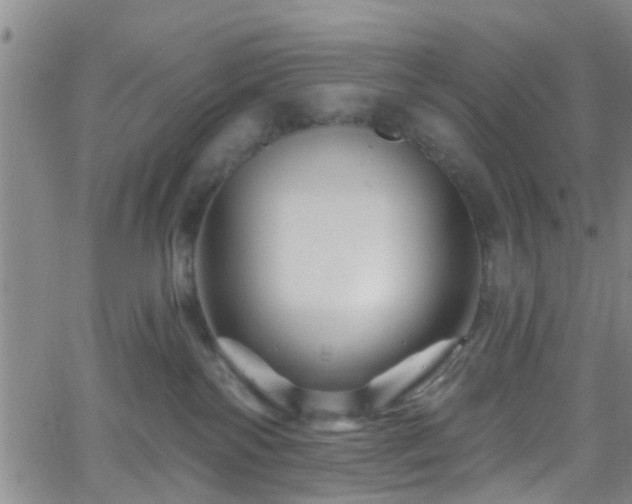 X0000058830138200510031356