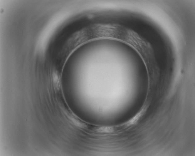 X0000058830142200510031356