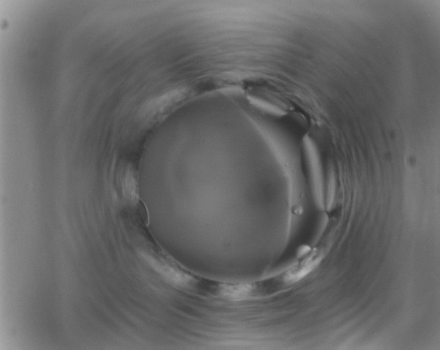 X0000058830143200510031356