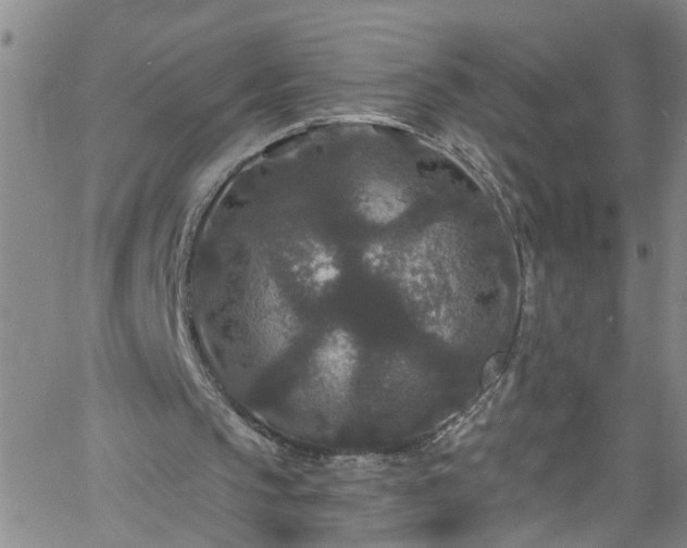 X0000058830145200510031355