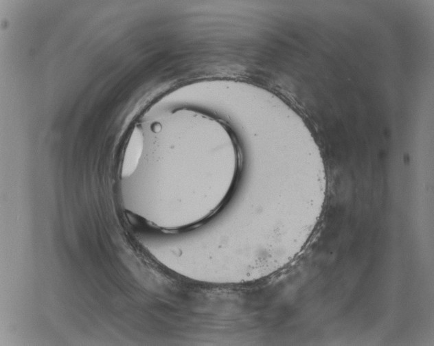 X0000058830146200510031355