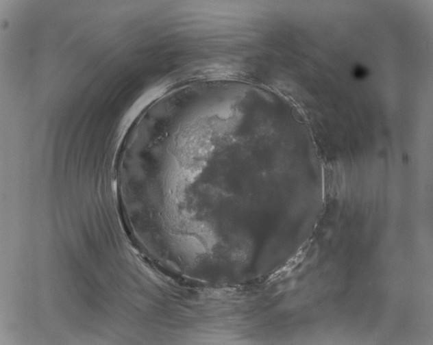 X0000058830147200510031355