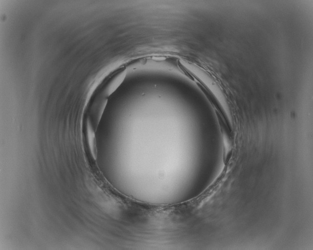 X0000058830148200510031355