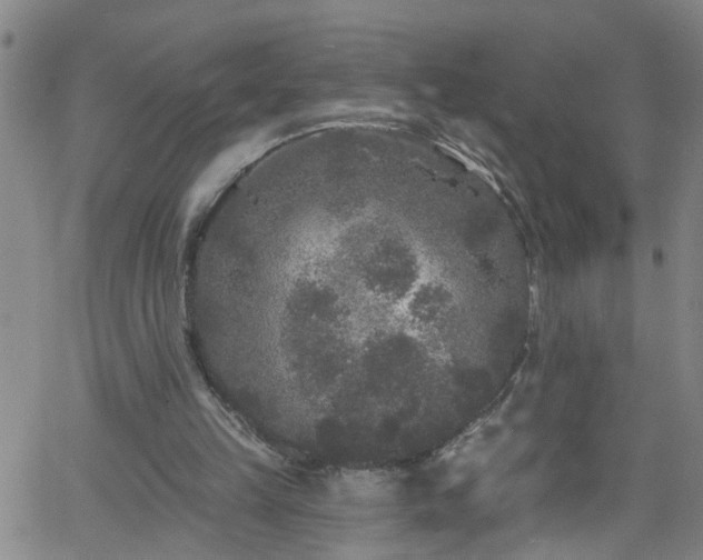 X0000058830149200510031355