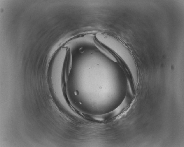 X0000058830150200510031355