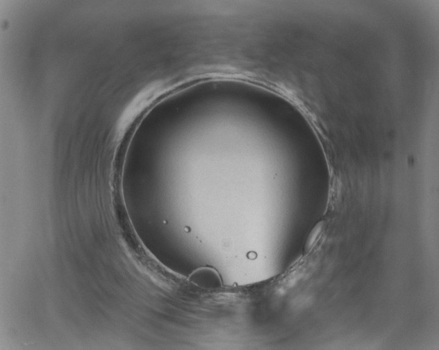 X0000058830151200510031355