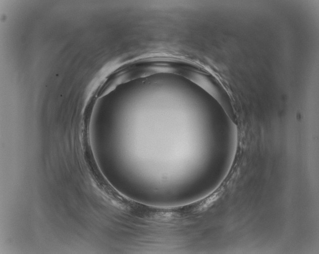 X0000058830152200510031355