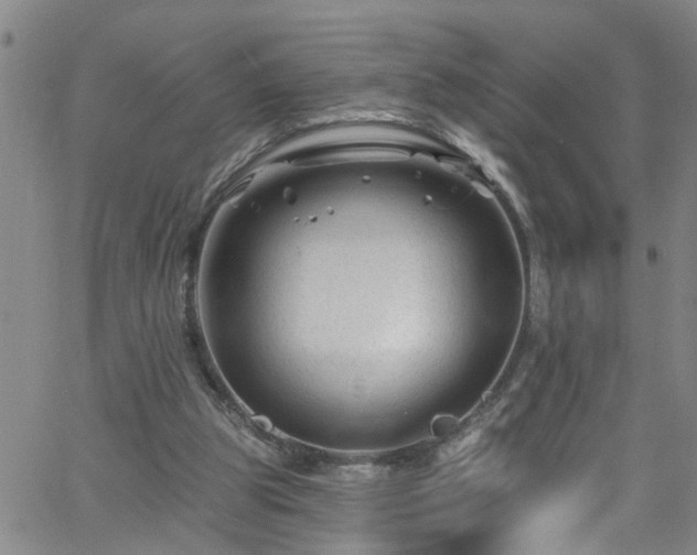 X0000058830153200510031356