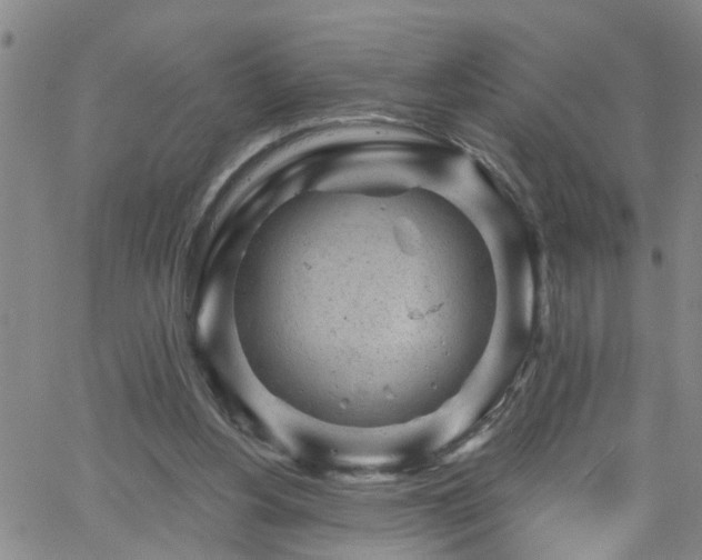 X0000058830156200510031356