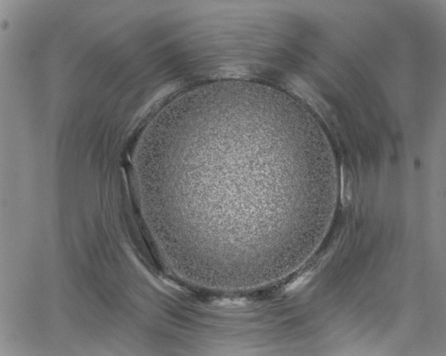 X0000058830157200510031356