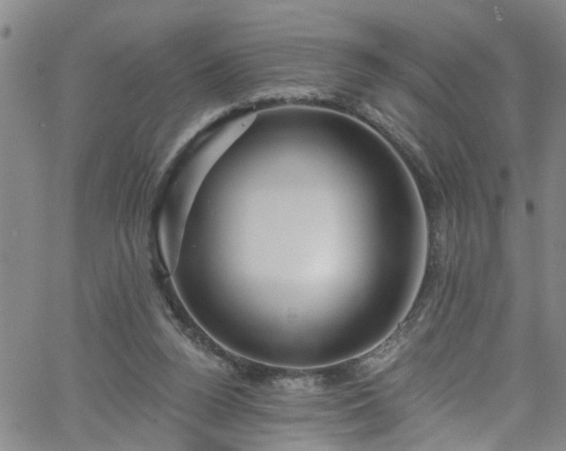 X0000058830160200510031356