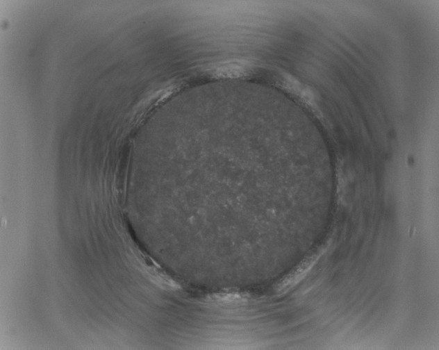 X0000058830161200510031356