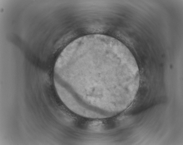 X0000058830162200510031356