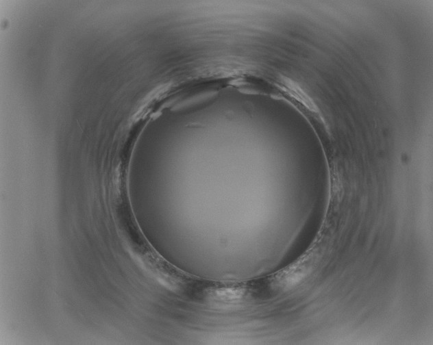 X0000058830163200510031356