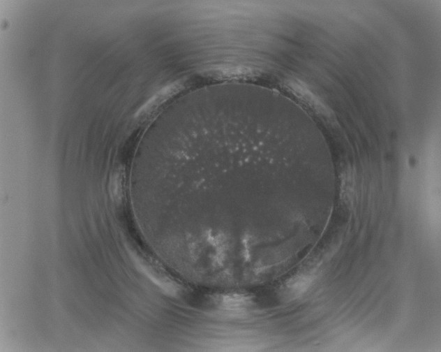 X0000058830165200510031356