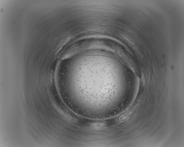 X0000058830168200510031356