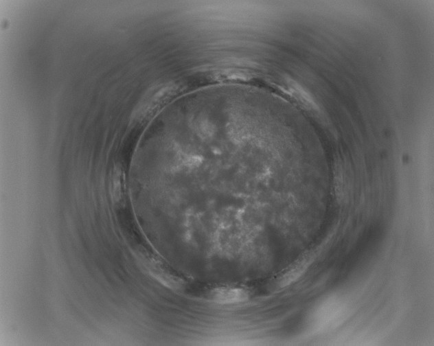 X0000058830169200510031356