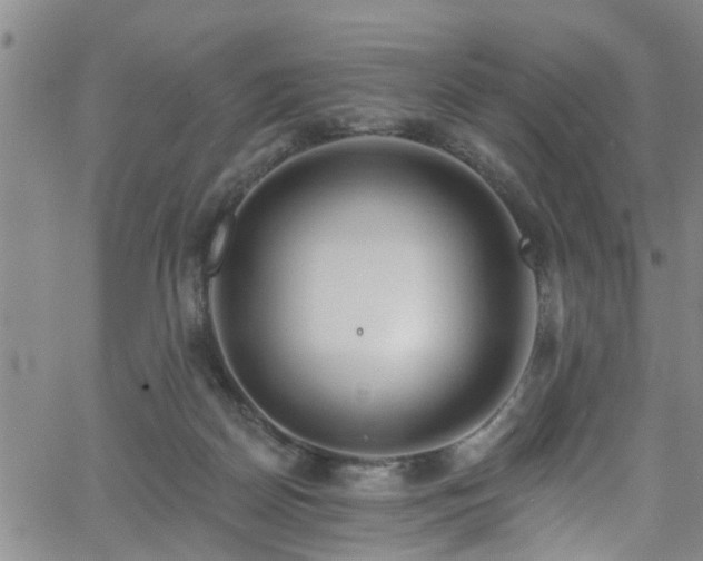 X0000058830170200510031356