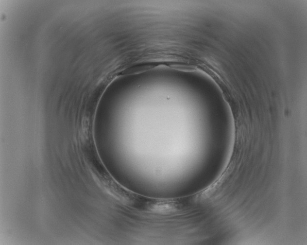 X0000058830171200510031356