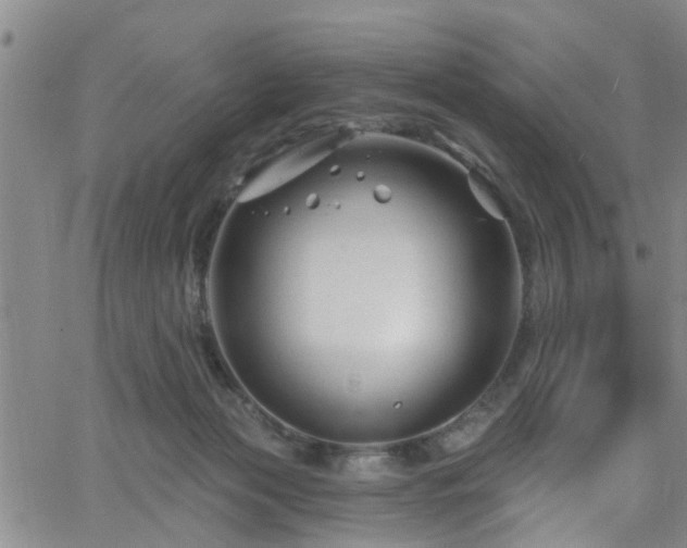 X0000058830173200510031356