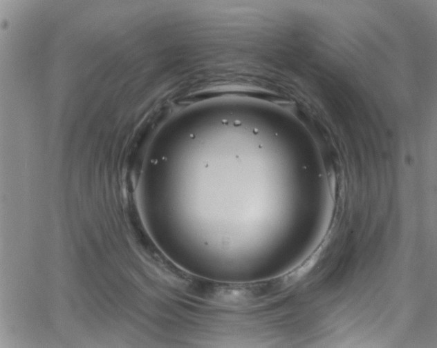 X0000058830174200510031356