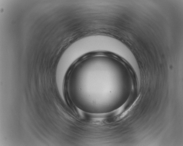 X0000058830175200510031356