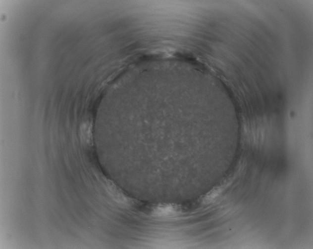 X0000058830177200510031356