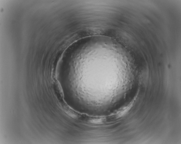 X0000058830178200510031356