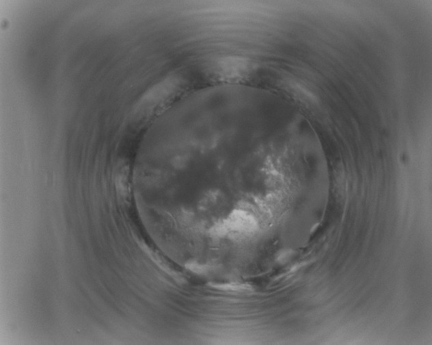 X0000058830181200510031356