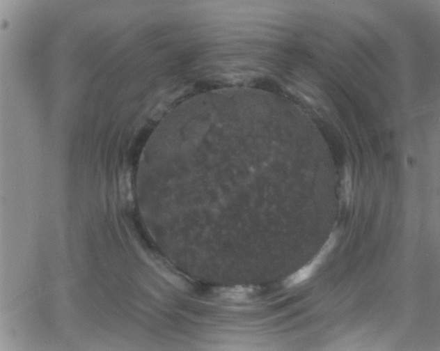 X0000058830182200510031356