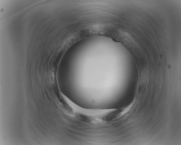 X0000058830183200510031356