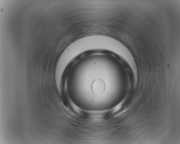 X0000058830185200510031356