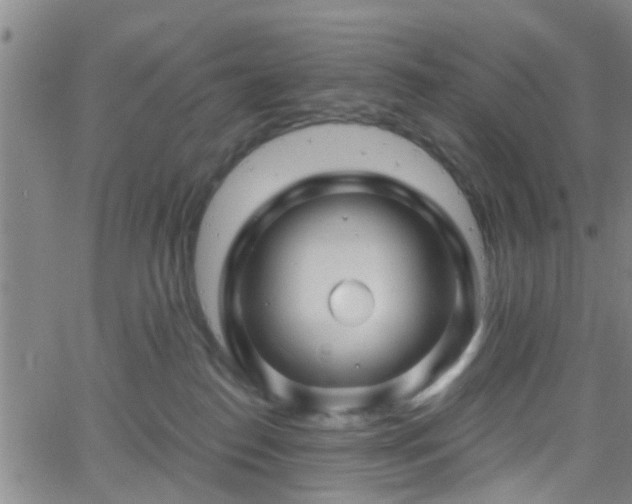 X0000058830186200510031356