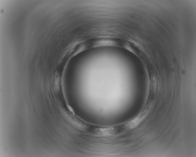 X0000058830188200510031356