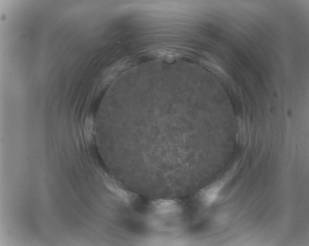 X0000058830189200510031356