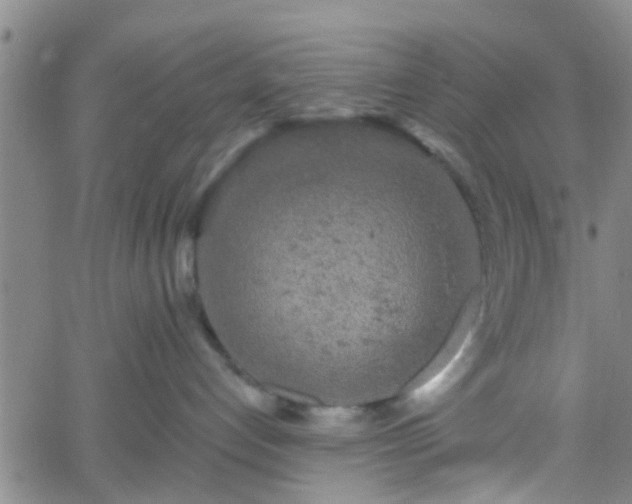 X0000058830192200510031356