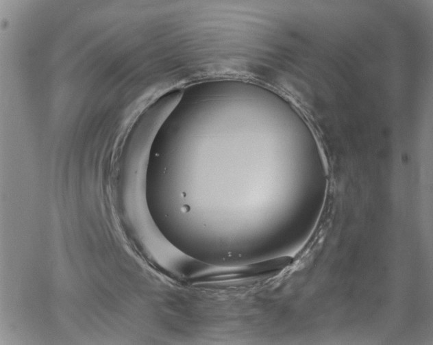 X0000058830193200510031355