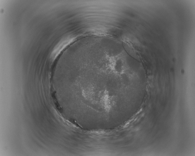 X0000058830194200510031355