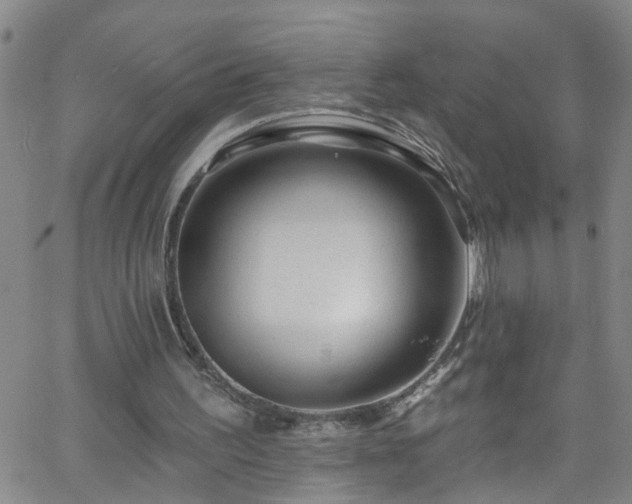 X0000058830195200510031355